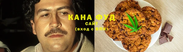 гашик Михайлов