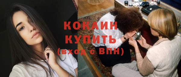 шишки Михайловск