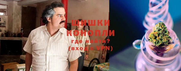 шишки Михайловск