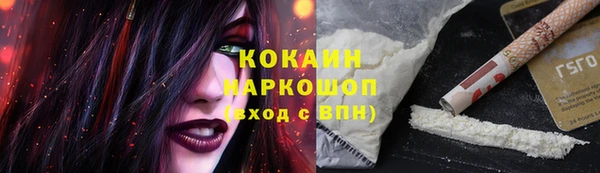 шишки Михайловск