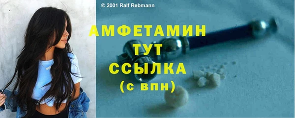 гашик Михайлов