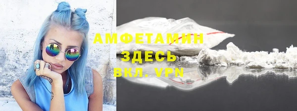 шишки Михайловск