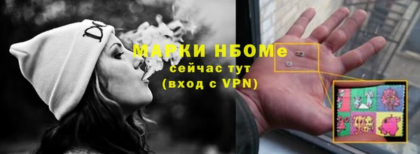 шишки Михайловск