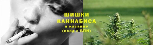 гашик Михайлов