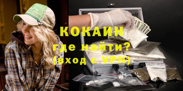 шишки Михайловск