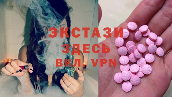 сатива Надым