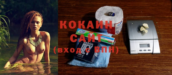 гашик Михайлов