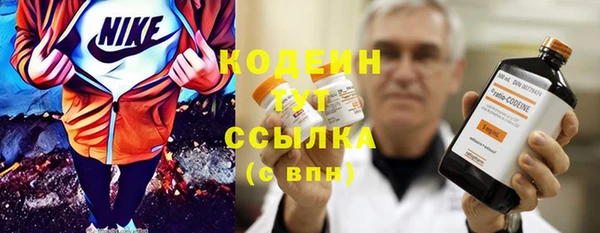 гашик Михайлов