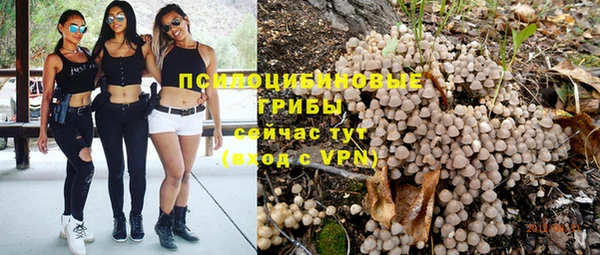 шишки Михайловск