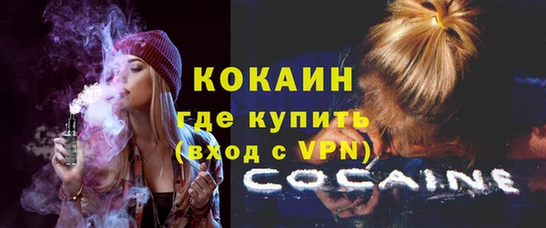шишки Михайловск